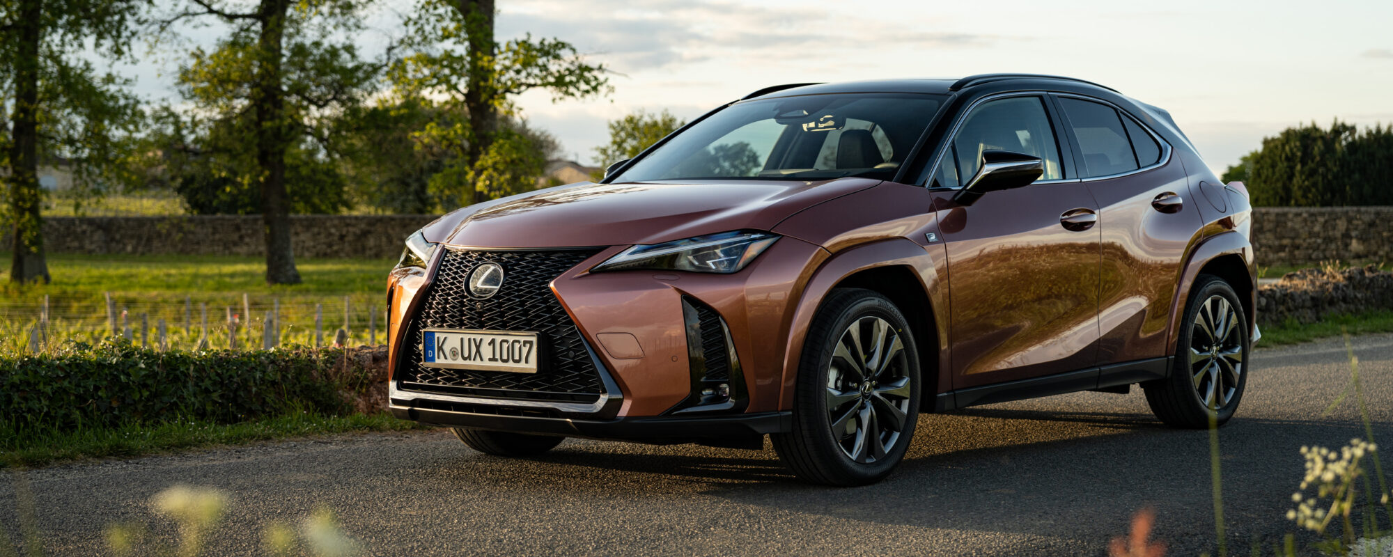 Alle details van de nieuwe Lexus UX 300h